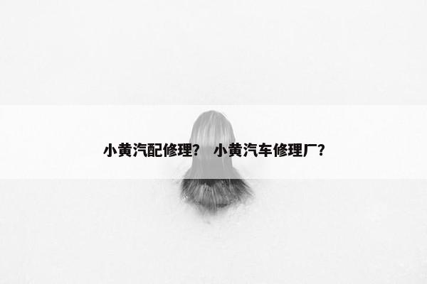 小黄汽配修理？ 小黄汽车修理厂？