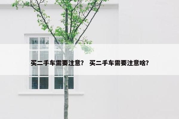 买二手车需要注意？ 买二手车需要注意啥？