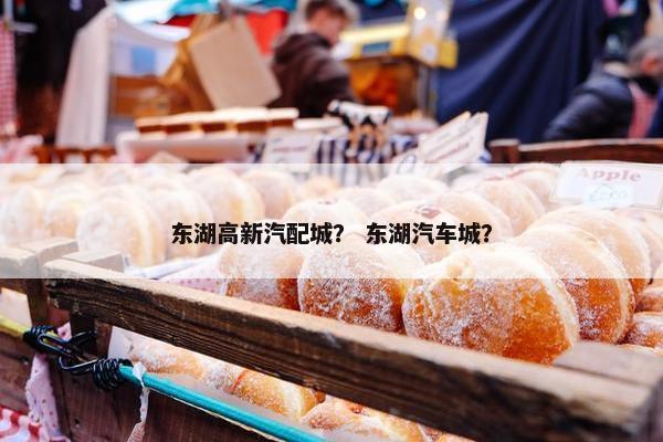 东湖高新汽配城？ 东湖汽车城？