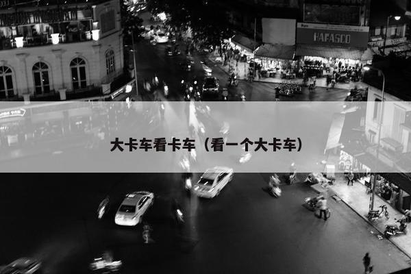 大卡车看卡车（看一个大卡车）