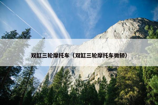 双缸三轮摩托车（双缸三轮摩托车微轿）