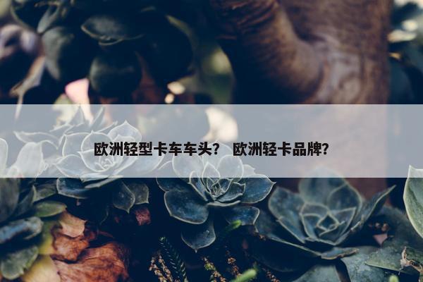 欧洲轻型卡车车头？ 欧洲轻卡品牌？
