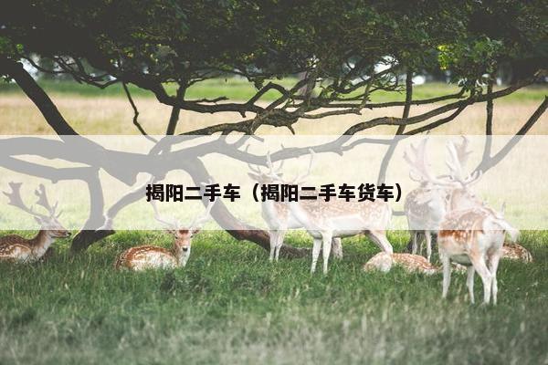 揭阳二手车（揭阳二手车货车）