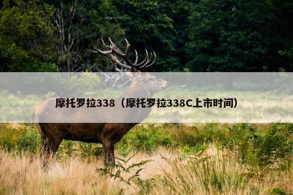 摩托罗拉338（摩托罗拉338C上市时间）