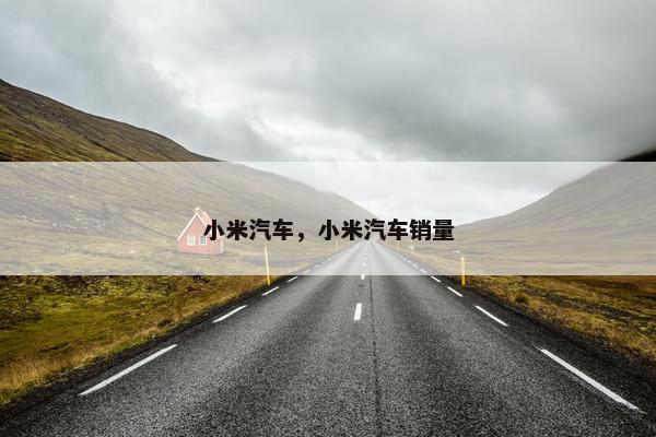 小米汽车，小米汽车销量