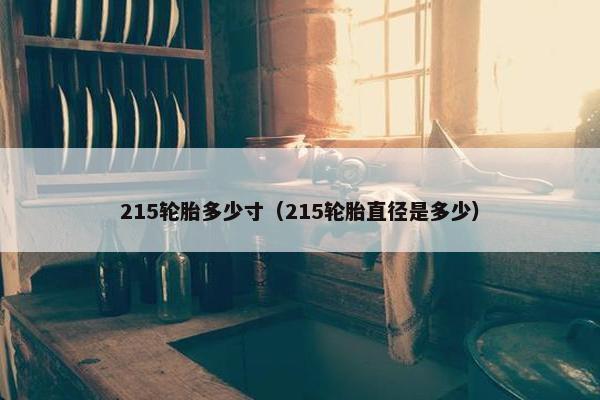 215轮胎多少寸（215轮胎直径是多少）