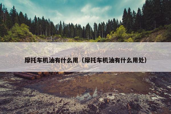 摩托车机油有什么用（摩托车机油有什么用处）