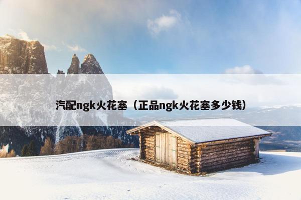 汽配ngk火花塞（正品ngk火花塞多少钱）