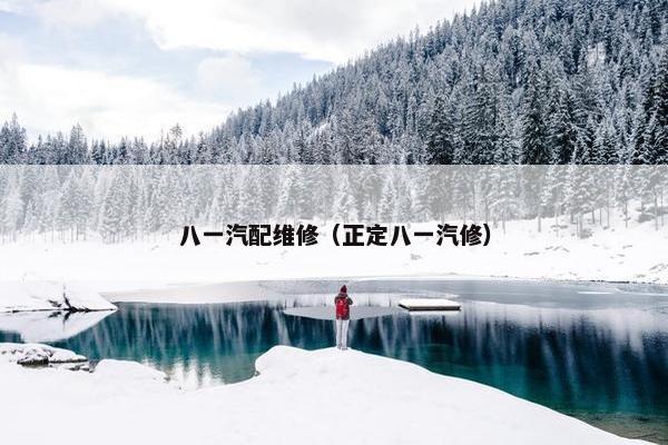 八一汽配维修（正定八一汽修）
