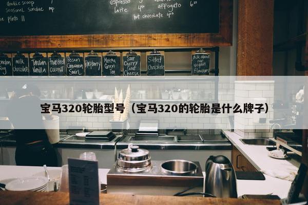 宝马320轮胎型号（宝马320的轮胎是什么牌子）