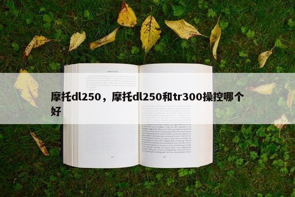 摩托dl250，摩托dl250和tr300操控哪个好