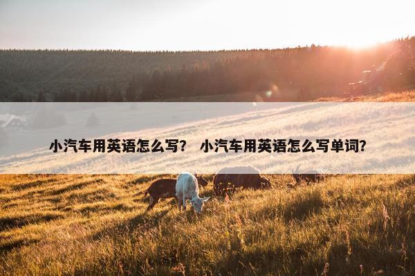 小汽车用英语怎么写？ 小汽车用英语怎么写单词？