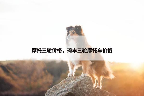 摩托三轮价格，琦丰三轮摩托车价格