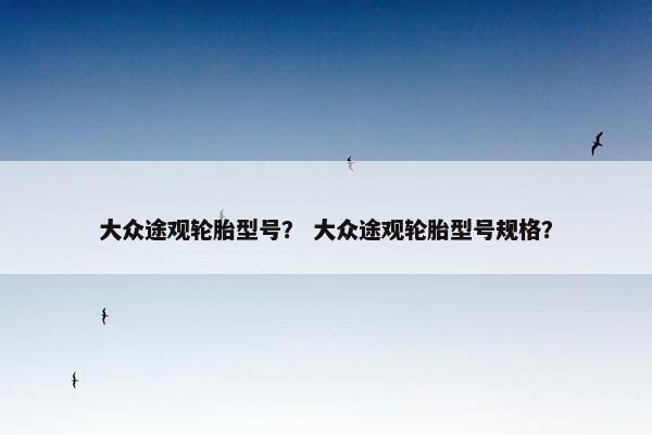 大众途观轮胎型号？ 大众途观轮胎型号规格？