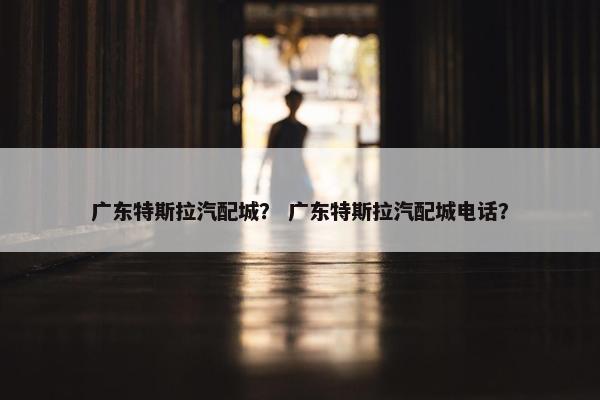 广东特斯拉汽配城？ 广东特斯拉汽配城电话？