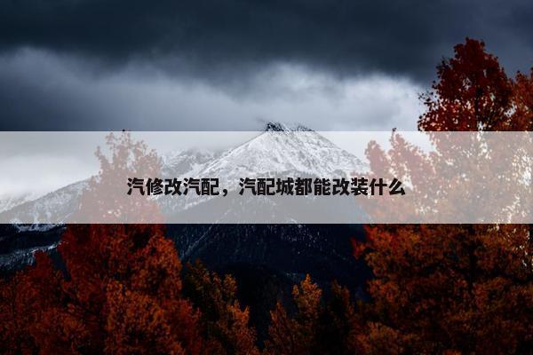 汽修改汽配，汽配城都能改装什么