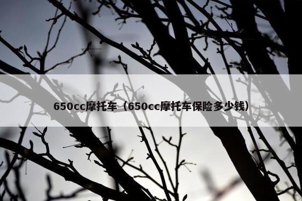 650cc摩托车（650cc摩托车保险多少钱）