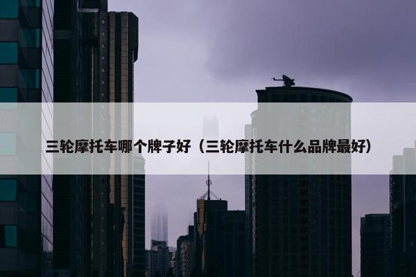 三轮摩托车哪个牌子好（三轮摩托车什么品牌最好）