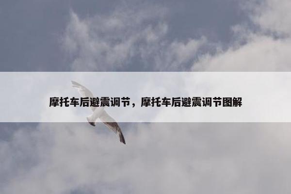 摩托车后避震调节，摩托车后避震调节图解