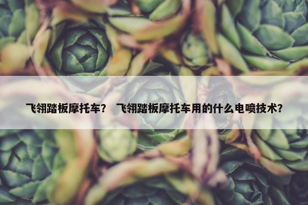 飞翎踏板摩托车？ 飞翎踏板摩托车用的什么电喷技术？
