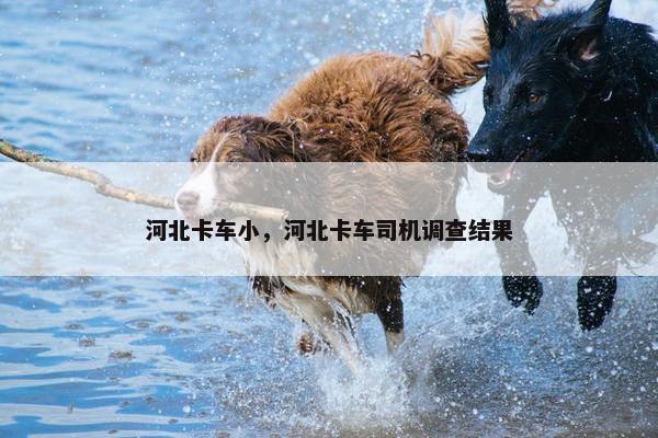 河北卡车小，河北卡车司机调查结果