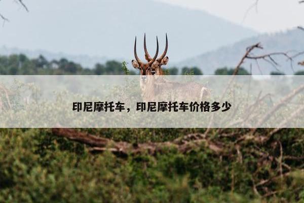 印尼摩托车，印尼摩托车价格多少