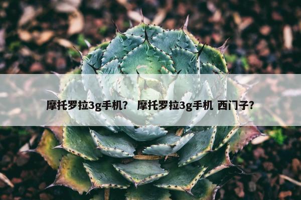 摩托罗拉3g手机？ 摩托罗拉3g手机 西门子？