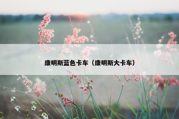 康明斯蓝色卡车（康明斯大卡车）