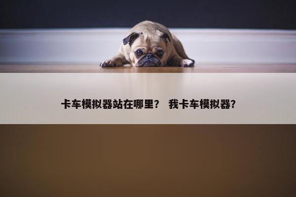 卡车模拟器站在哪里？ 我卡车模拟器？