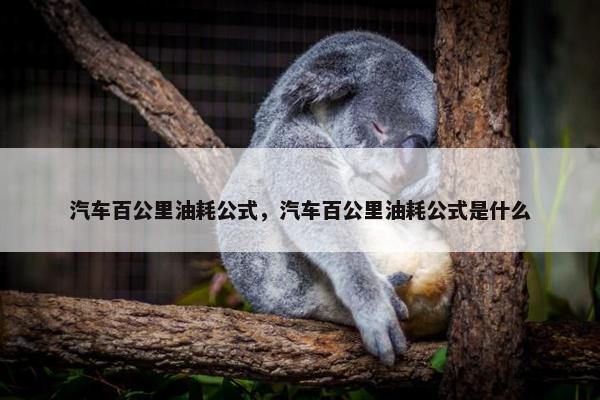 汽车百公里油耗公式，汽车百公里油耗公式是什么