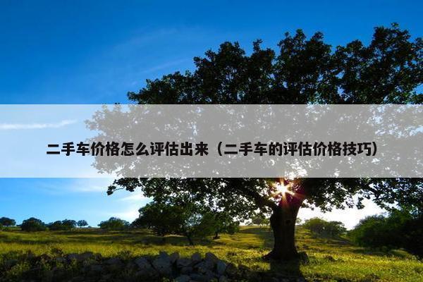 二手车价格怎么评估出来（二手车的评估价格技巧）