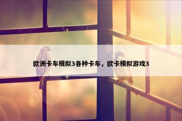 欧洲卡车模拟3各种卡车，欧卡模拟游戏3