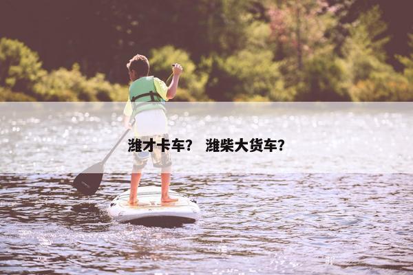 潍才卡车？ 潍柴大货车？