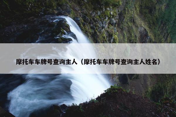 摩托车车牌号查询主人（摩托车车牌号查询主人姓名）