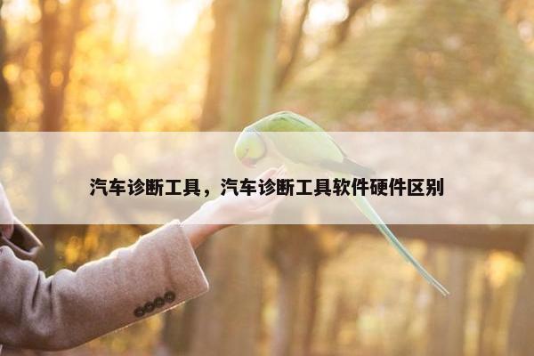 汽车诊断工具，汽车诊断工具软件硬件区别