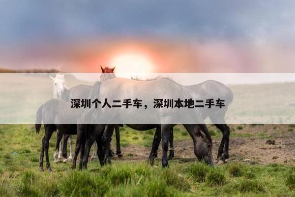 深圳个人二手车，深圳本地二手车