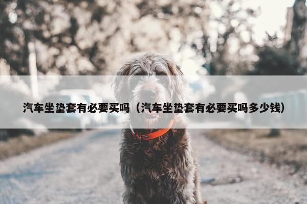 汽车坐垫套有必要买吗（汽车坐垫套有必要买吗多少钱）