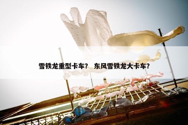 雪铁龙重型卡车？ 东风雪铁龙大卡车？