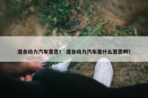 混合动力汽车意思？ 混合动力汽车是什么意思啊？