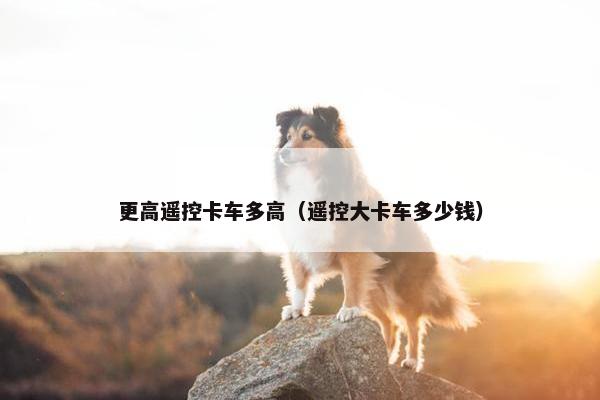 更高遥控卡车多高（遥控大卡车多少钱）