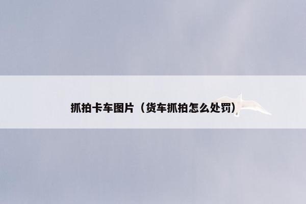 抓拍卡车图片（货车抓拍怎么处罚）