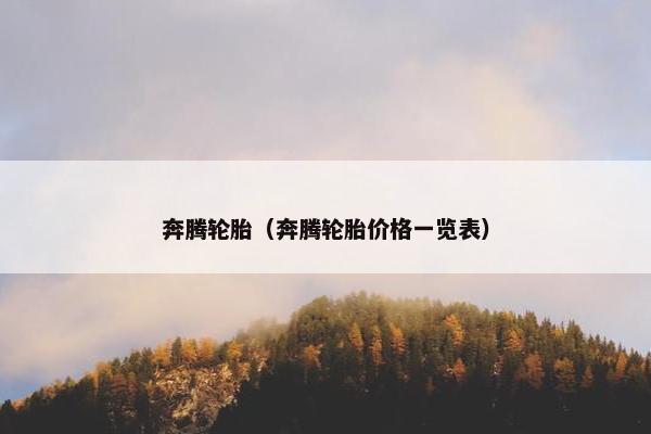 奔腾轮胎（奔腾轮胎价格一览表）