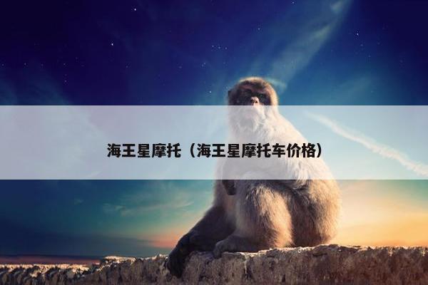海王星摩托（海王星摩托车价格）