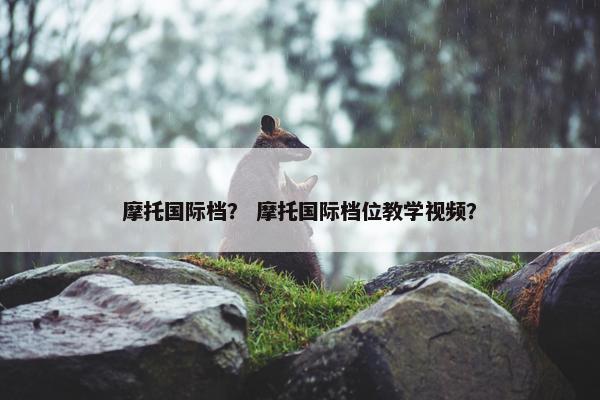 摩托国际档？ 摩托国际档位教学视频？
