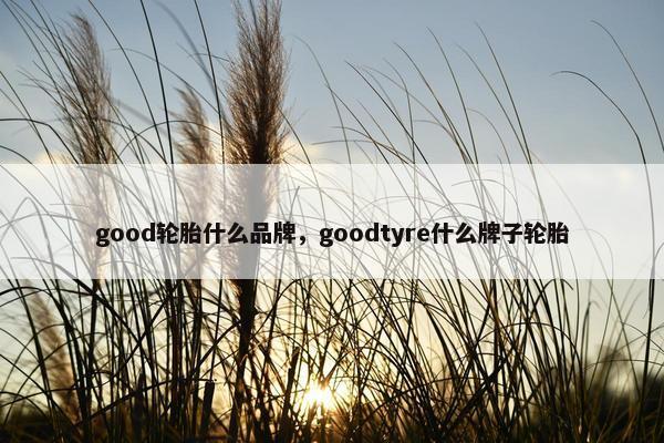 good轮胎什么品牌，goodtyre什么牌子轮胎
