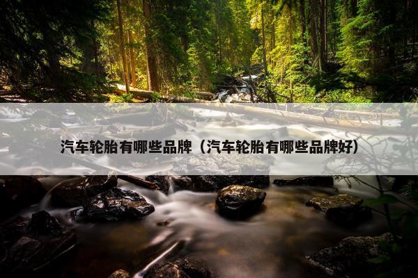 汽车轮胎有哪些品牌（汽车轮胎有哪些品牌好）