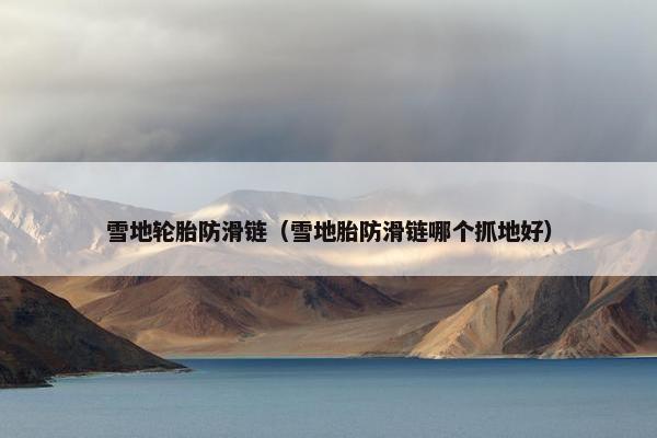 雪地轮胎防滑链（雪地胎防滑链哪个抓地好）