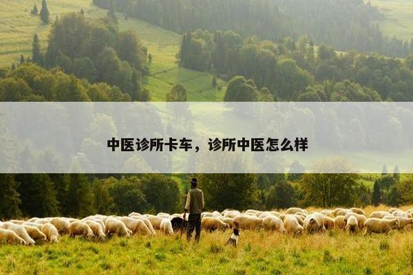 中医诊所卡车，诊所中医怎么样