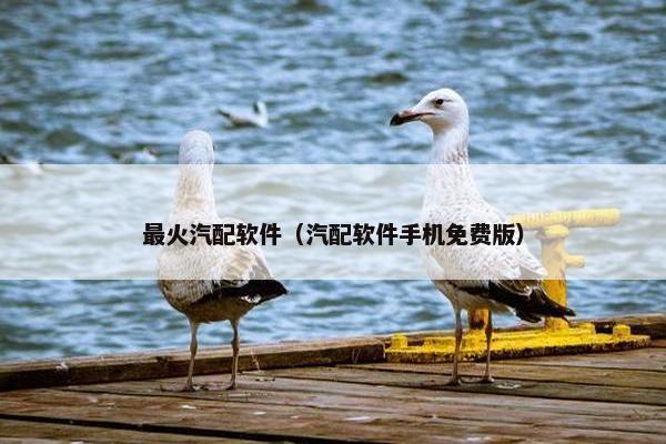 最火汽配软件（汽配软件手机免费版）