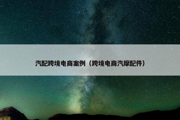汽配跨境电商案例（跨境电商汽摩配件）